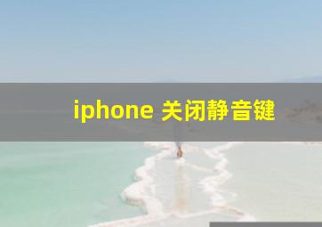 iphone 关闭静音键